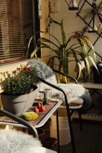 Jak urządzić balkon jako wygodną przestrzeń do odpoczynku